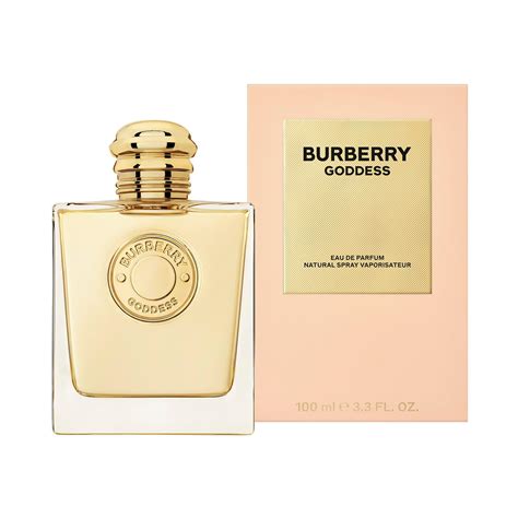 Shop Burberry for Women Online 